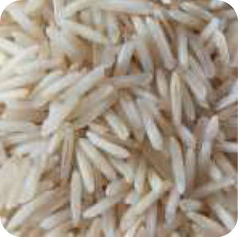 Client